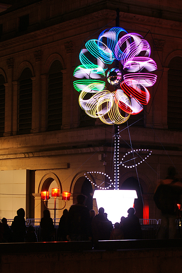 Fête des Lumières - auch Blümchen gab es