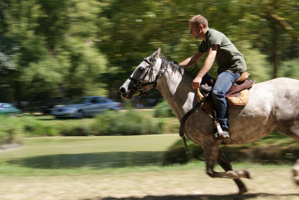 fête du cheval et de l'âne à Sainte Christine