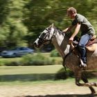 fête du cheval et de l'âne à Sainte Christine