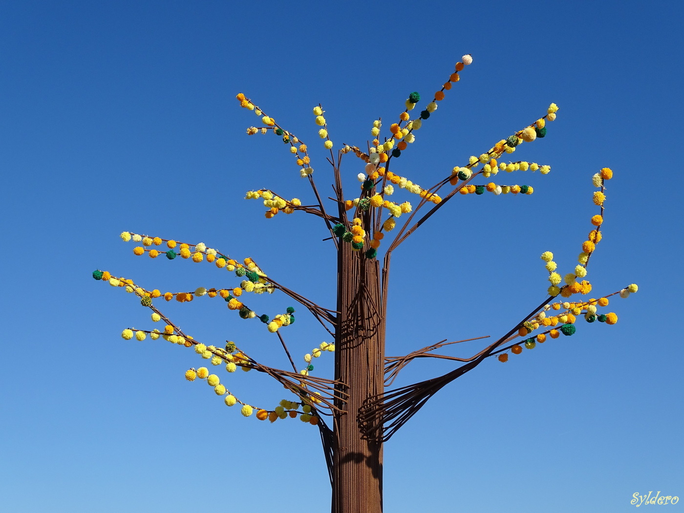 Fête du mimosa