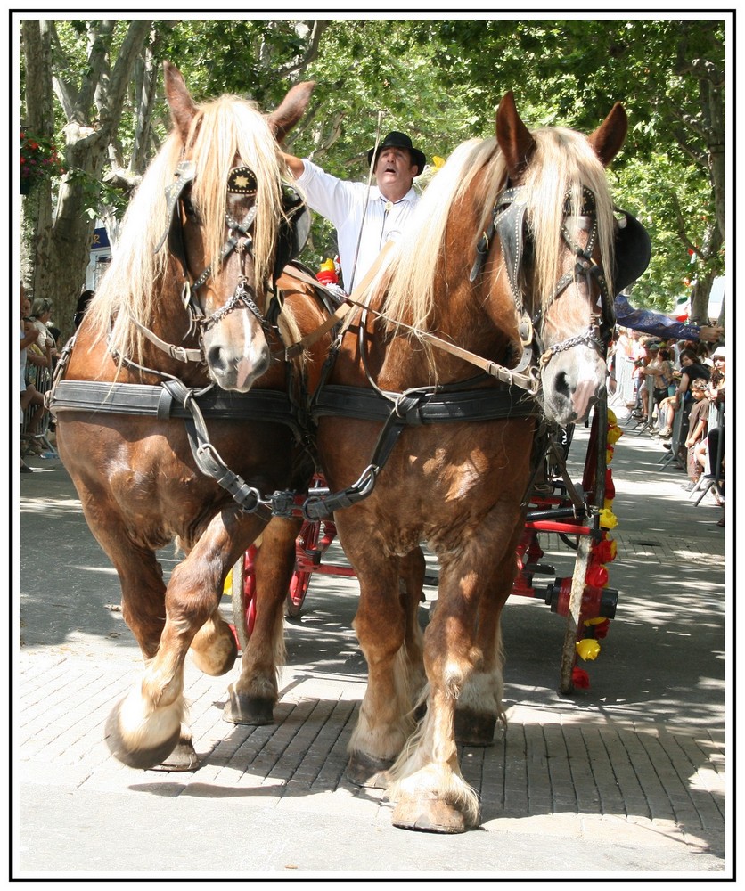 Fête provençale - Auriol 13