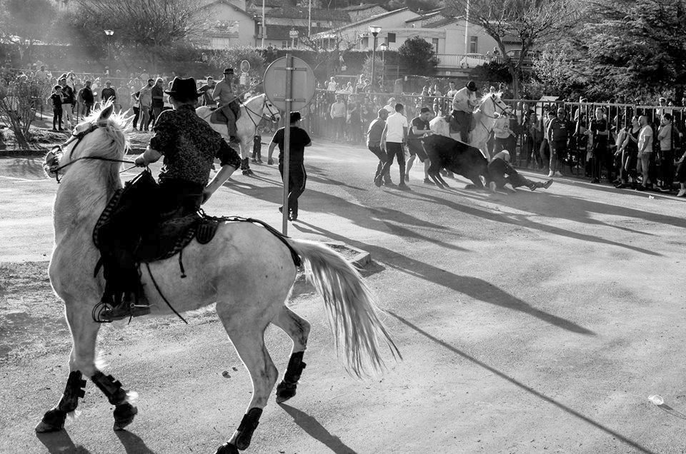 Fête taurine, Bagard (Gard)