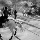 Fête taurine, Bagard (Gard)