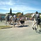 Fête taurine, Bagard (Gard)