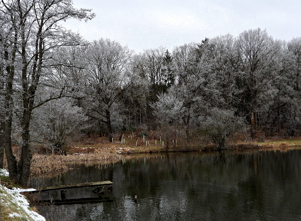 Ftühlingswinter