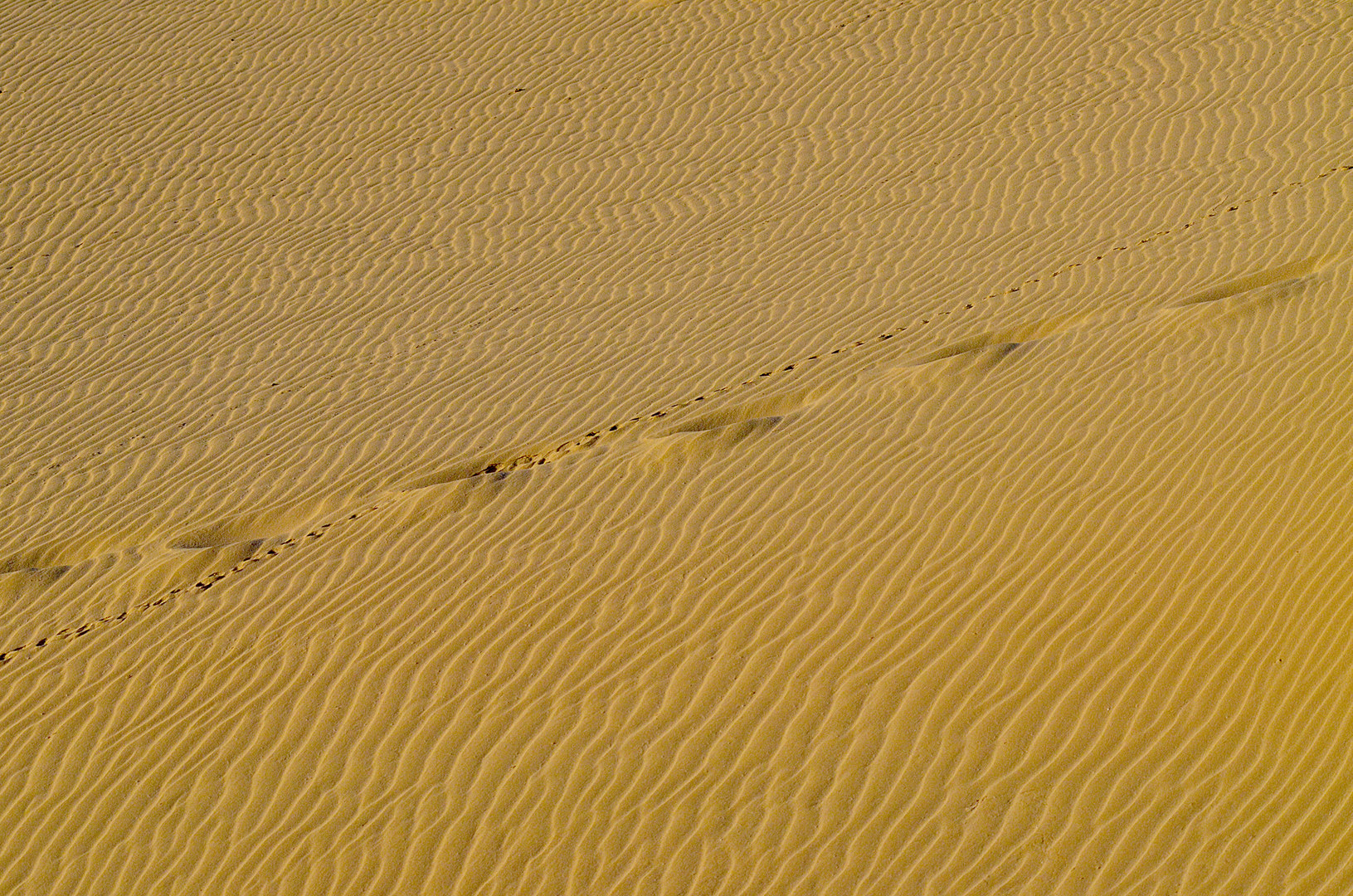 Ftv deserto , segnali