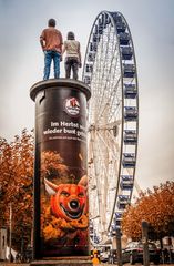 Fuchs am Riesenrad