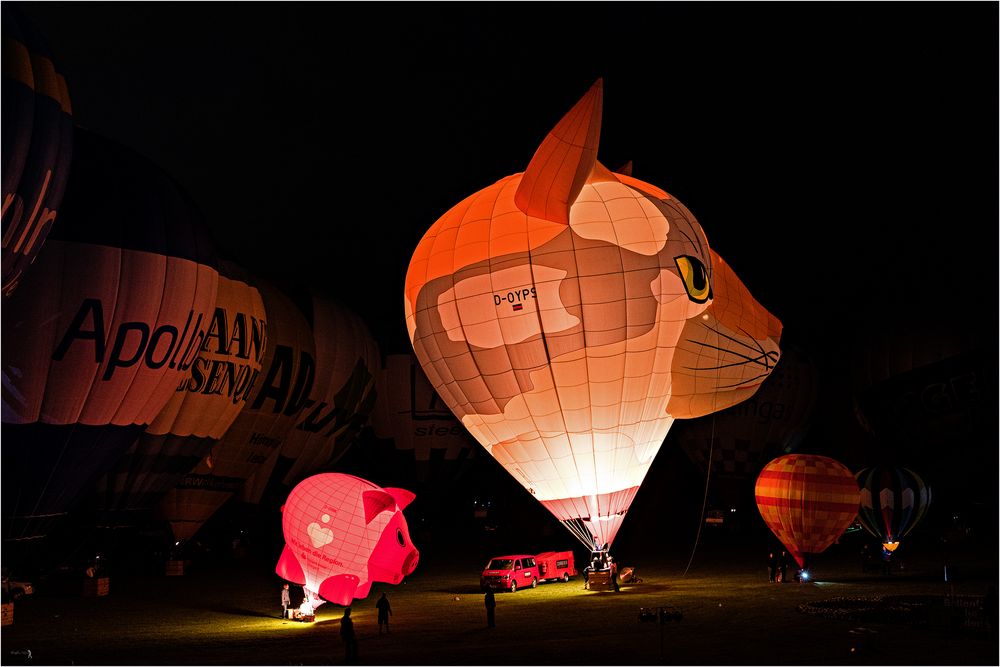 Fuchs du hast das Schwein gestohlen .....:-)))