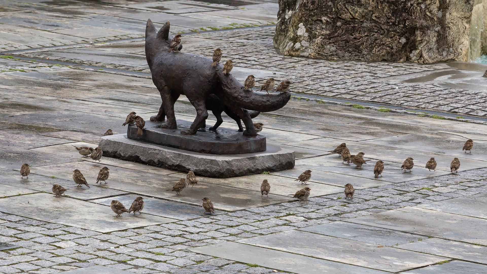 "Fuchs Du hast die Gans gestohlen..."