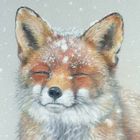 Fuchs-im Schnee
