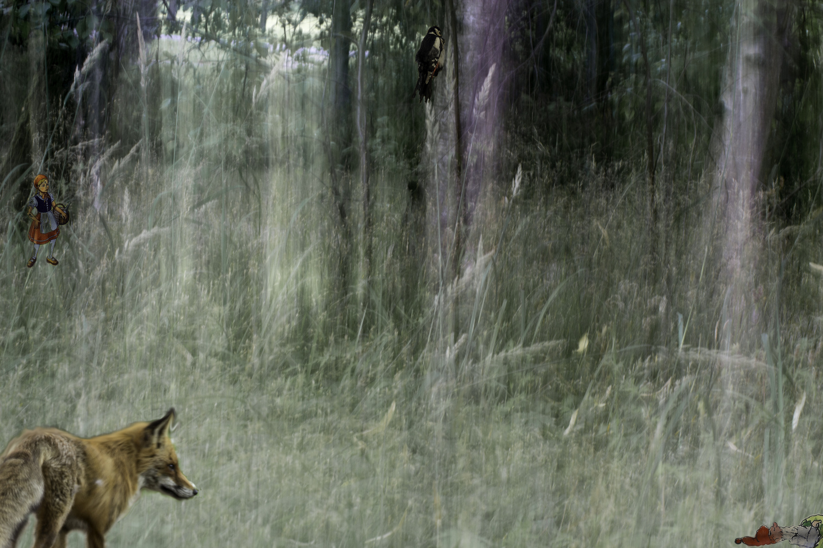 Fuchs im Wald mit Rotkaeppchen und Zwerg