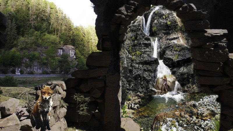 Fuchs in Pottenstein, doch durch das Tor....(Archiv)