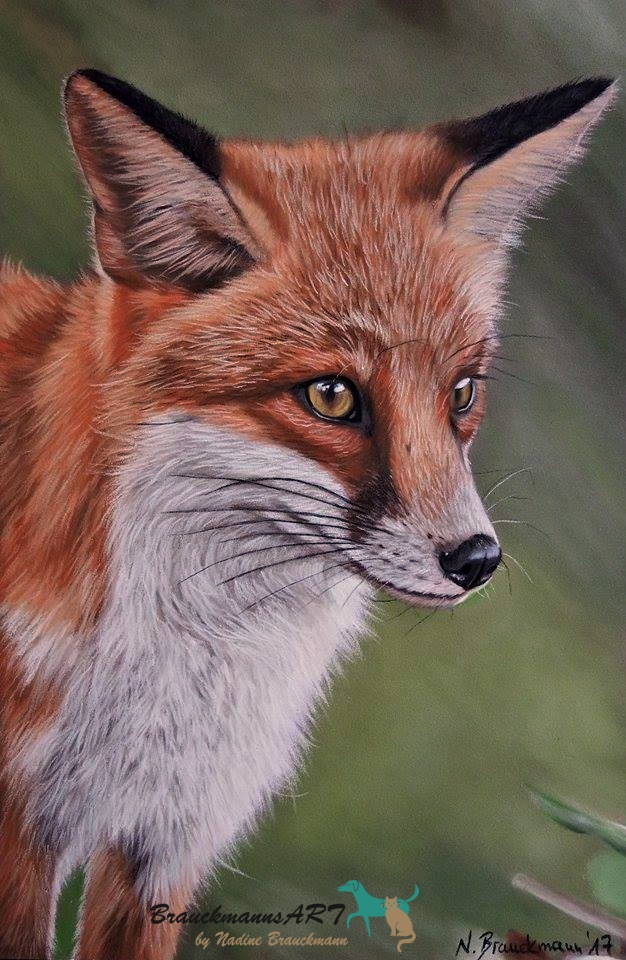 Fuchs Pastell 