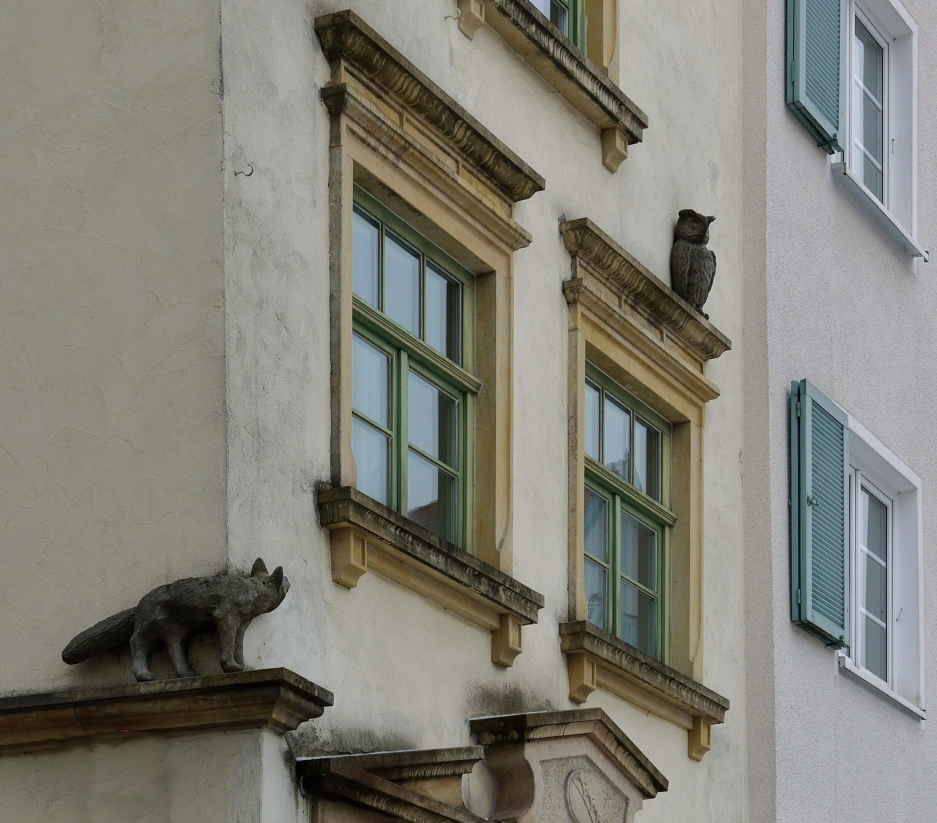 ... Fuchs und Eule