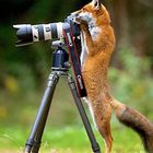 User Profile Photo