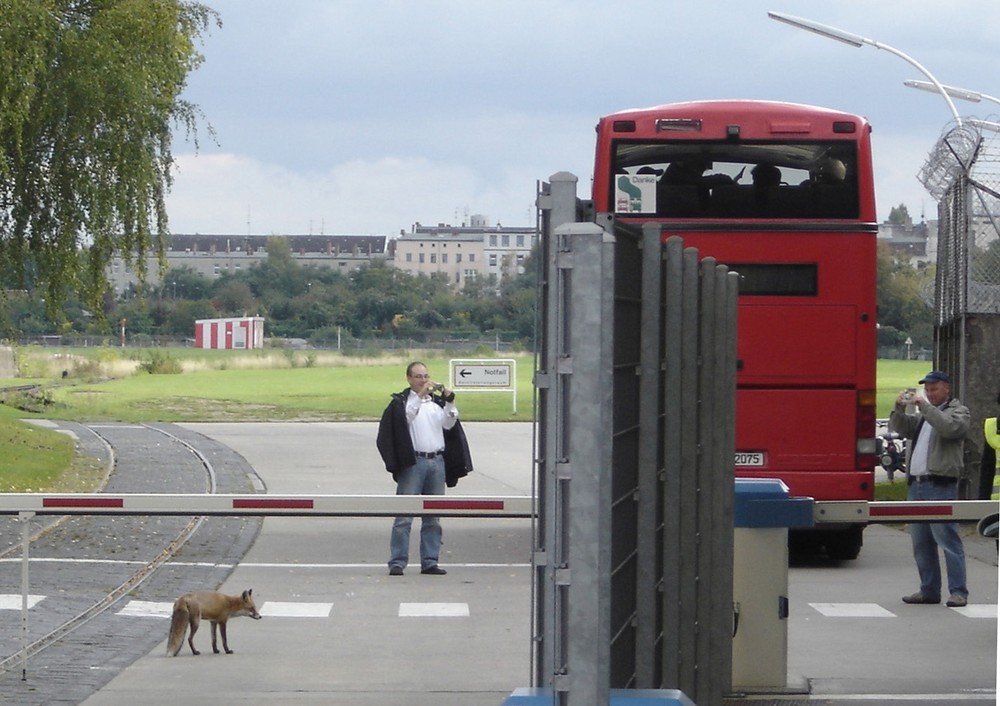 Fuchshafen Berlin Tempelhof