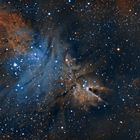 Fuchspelz + Konusnebel (NGC 2264)