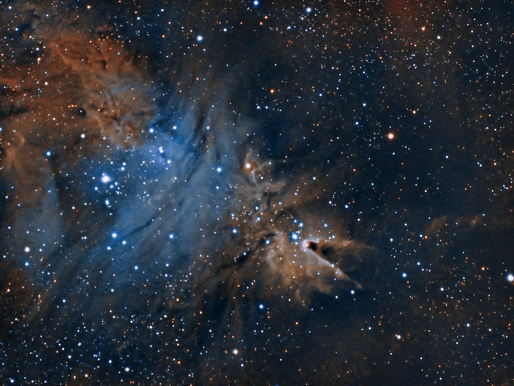 Fuchspelz + Konusnebel (NGC 2264)