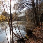 Fuchsteich am Waldbad Oberau