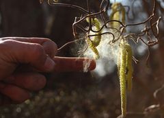 "Fuck you - Pollen!"