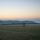 Füchse führen eine laute Unterhaltung