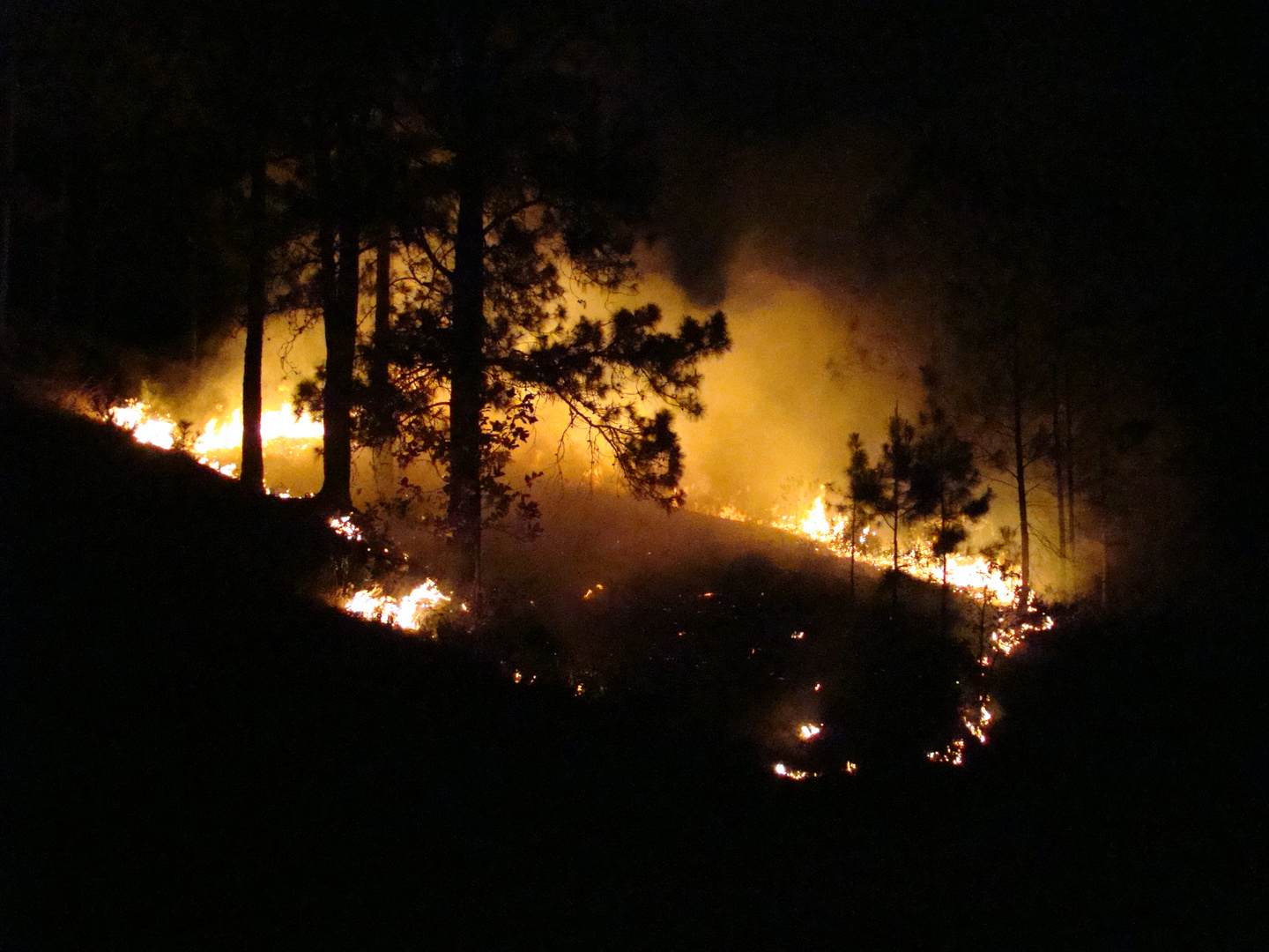 Fuego.¡¡ a media noche