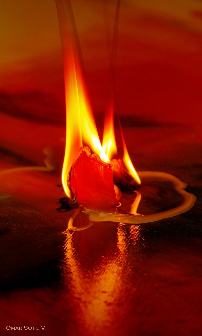 fuego abstracto imagen foto t cnicas macrofotograf a fuego abstracto imagen foto t cnicas macrofotograf a