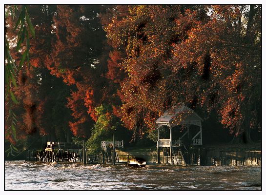 fuego otoñal en la isla.