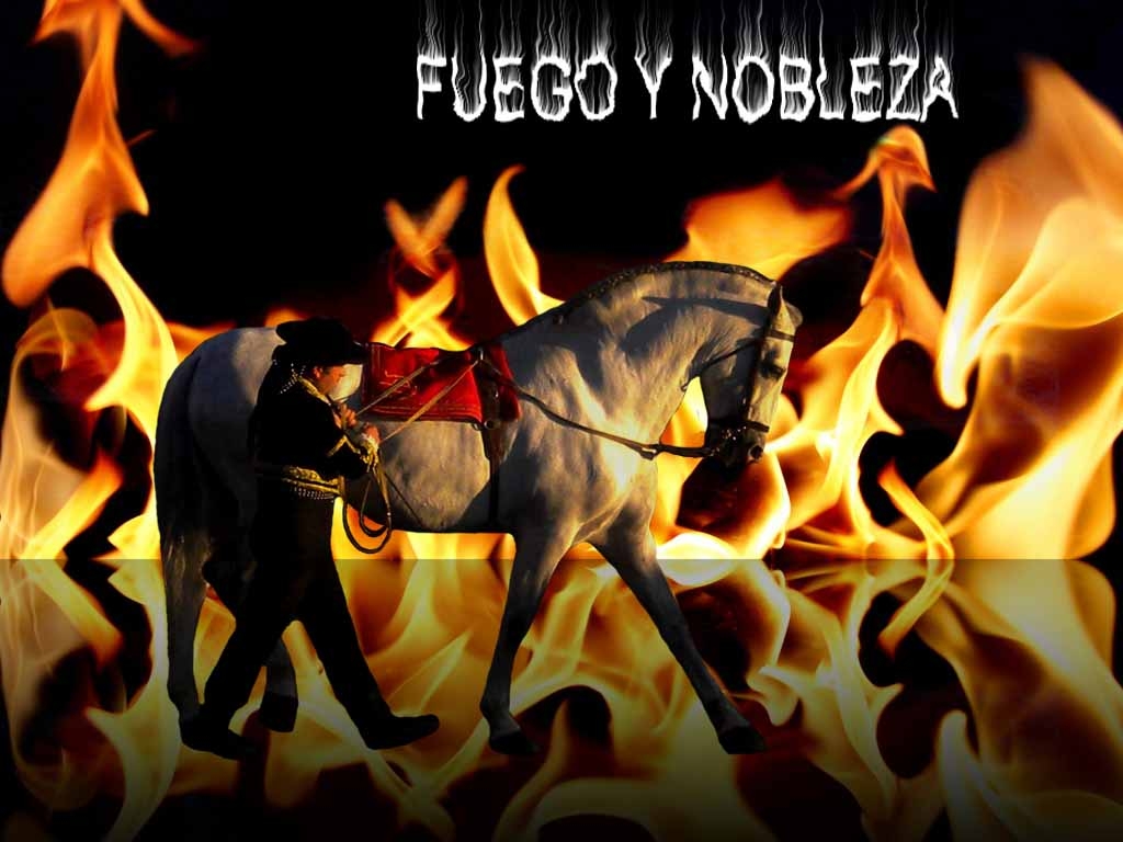 FUEGO Y NOBLEZA