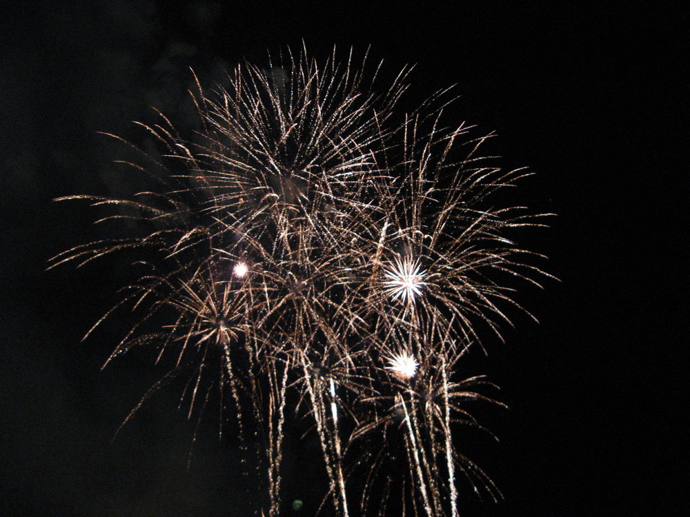 Fuegos Artificiales