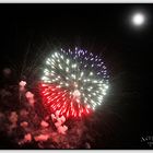 Fuegos Artificiales III