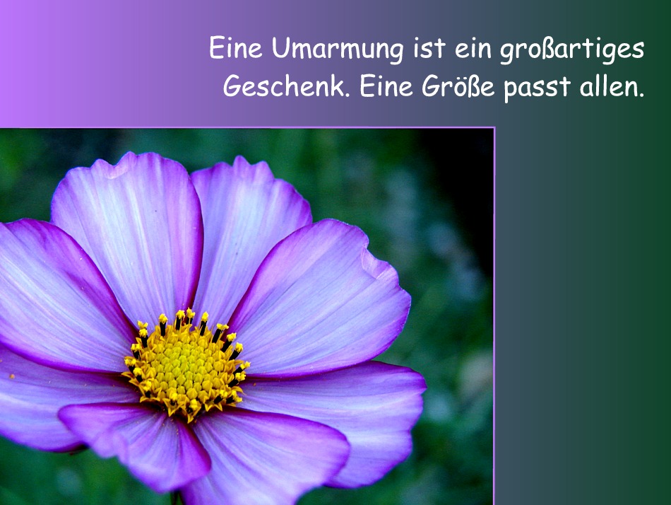 Fühl dich mal fest umarmt Foto & Bild | karten 2011 Bilder Fühl dich mal fest umarmt Foto & Bild | karten 2011 Bilder