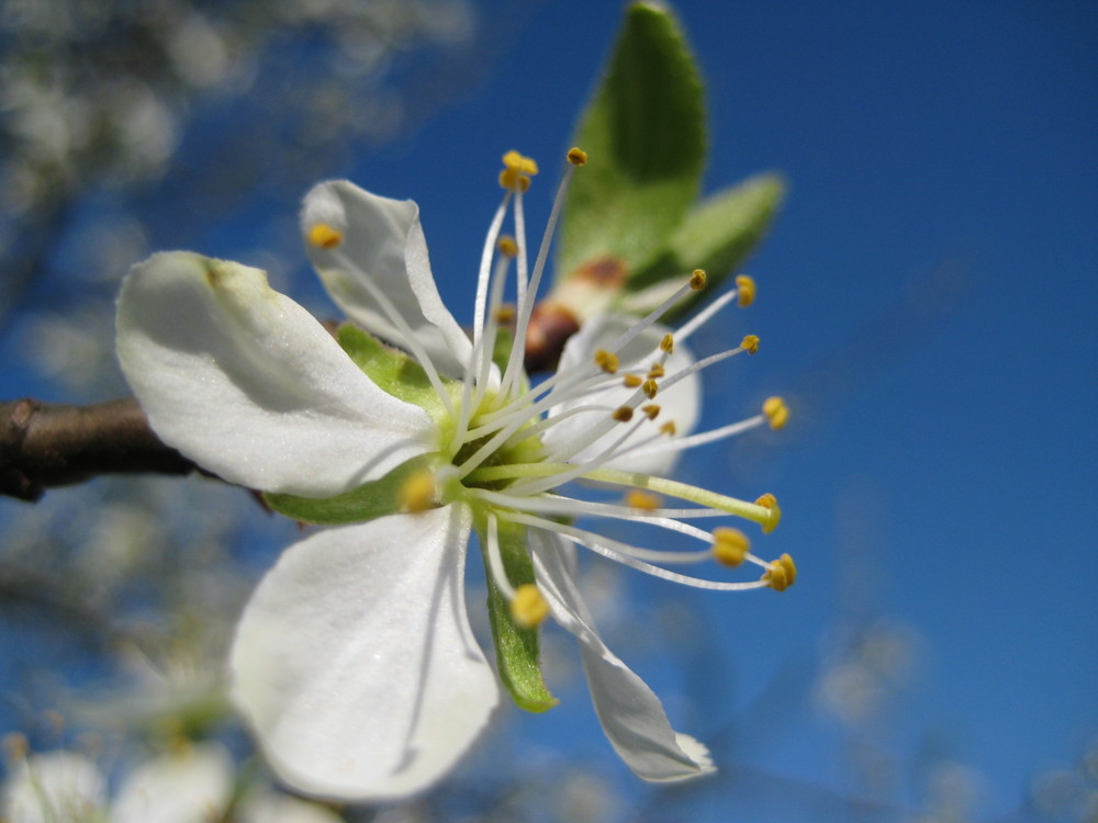 Fühlendes Rauschen