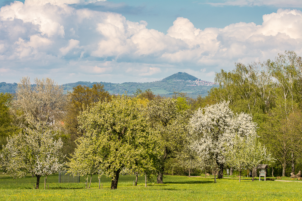 Fühling