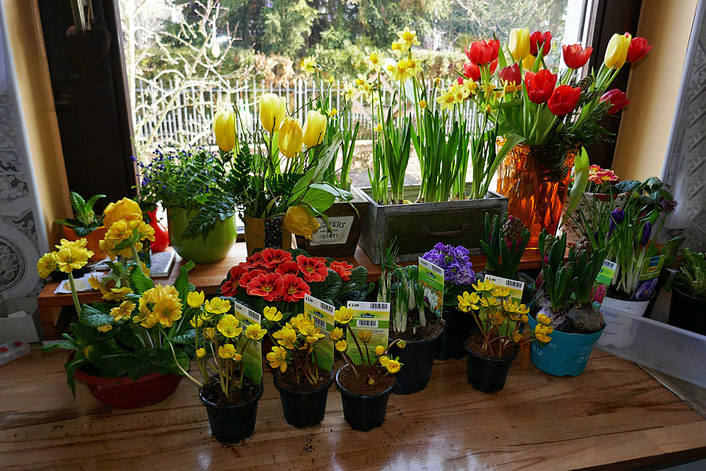 Fühling im Haus