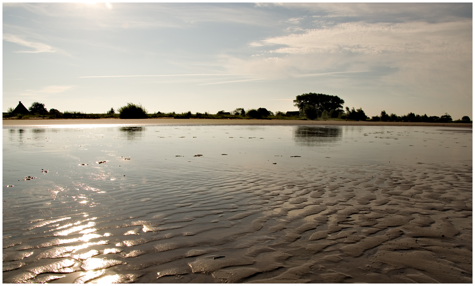 Fühmorgens an der Elbe