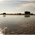 Fühmorgens an der Elbe