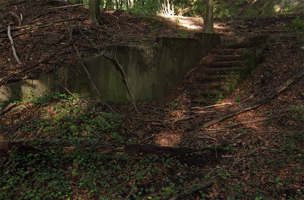 Führerbunker - Deckname "Herbstwald"