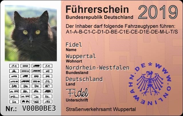 Führerschein Fidel