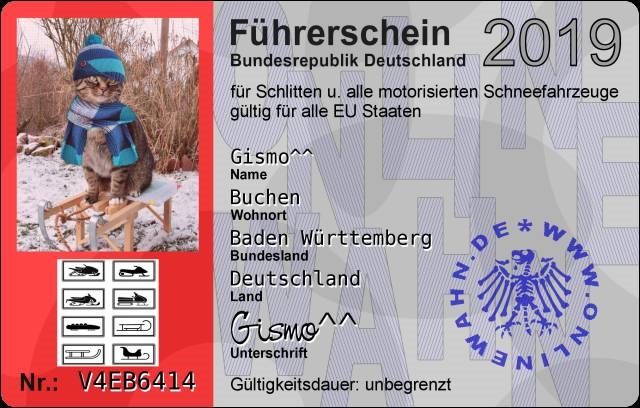 Führerschein für alle Schneefahrzeuge