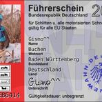 Führerschein für alle Schneefahrzeuge