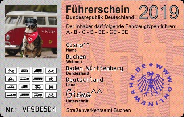 Führerschein für das Pfötitaxi