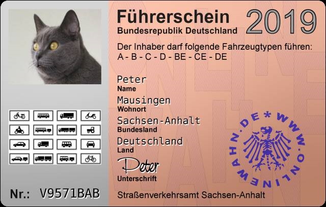 Führerschein für Peter