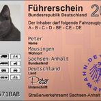 Führerschein für Peter