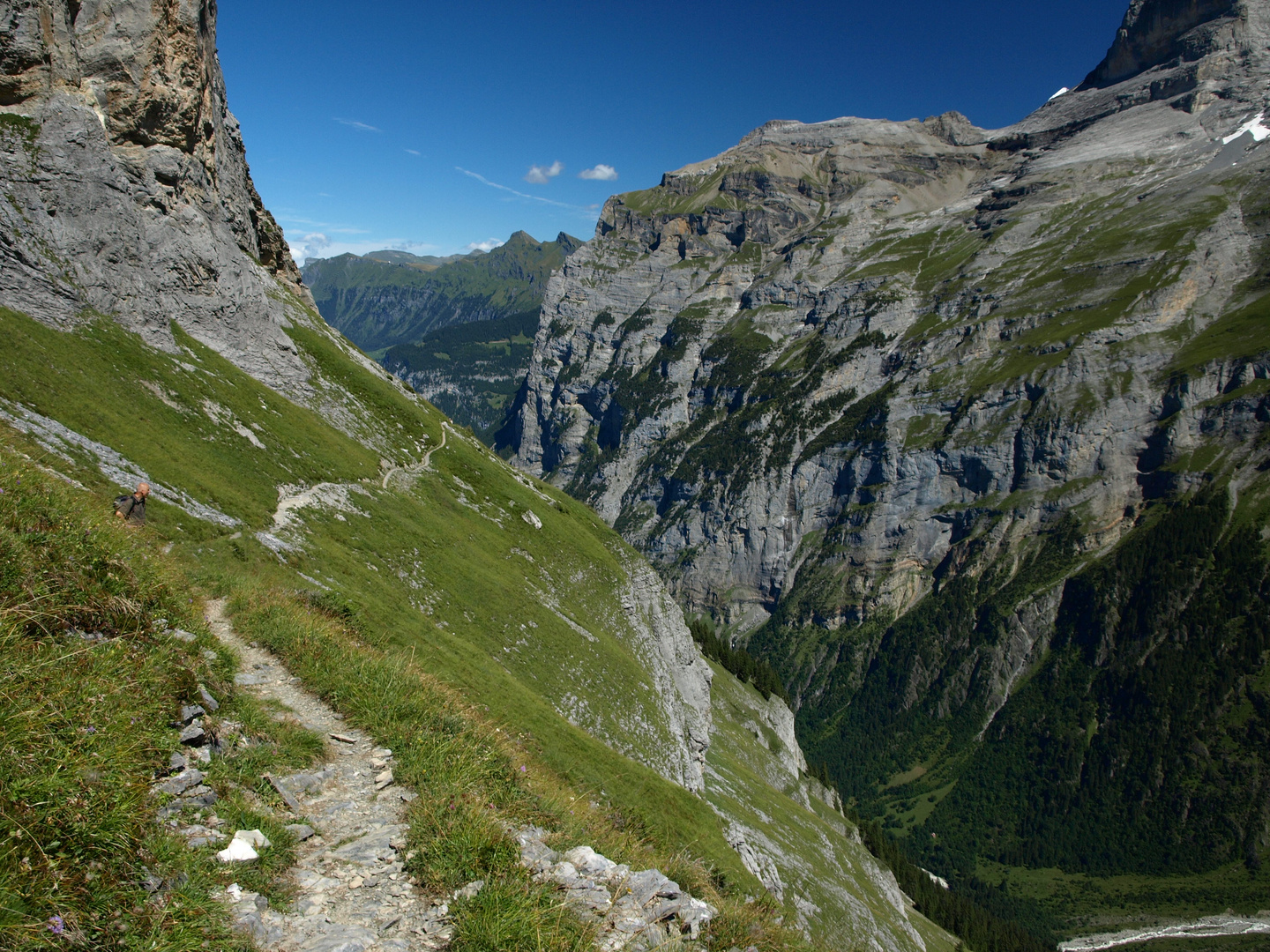 Führt der Weg zu Abgrund?