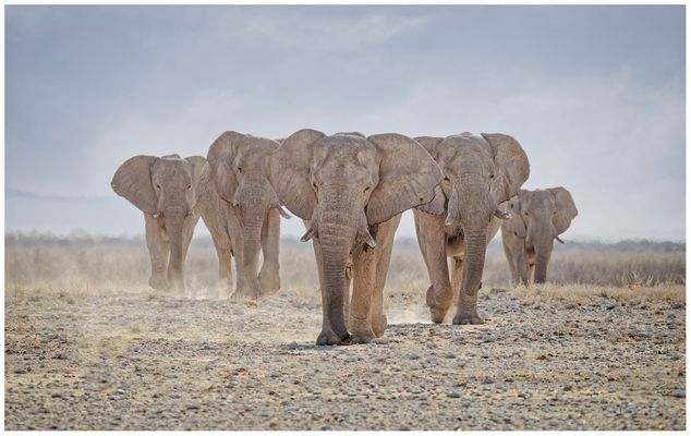 Fünf auf einen Streich....