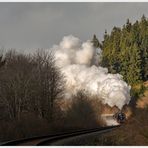 Fünf besondere Freunde im Hochsauerland