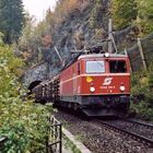 Fünf Fingerchen für ein Hallejuja und ein roter Engel