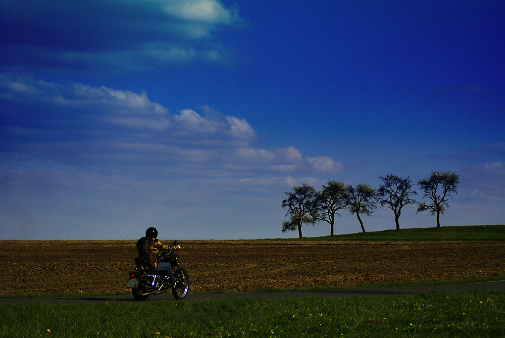 Fünf Freunde und Biker