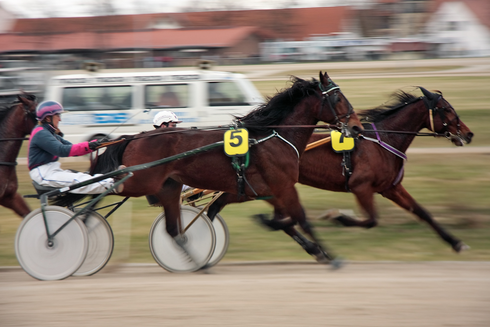 fünf gewinnt